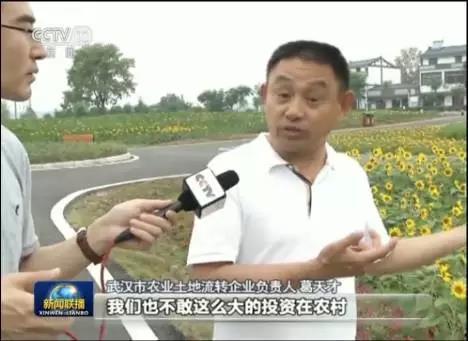 吃瓜新闻播报,揭秘明星幕后故事