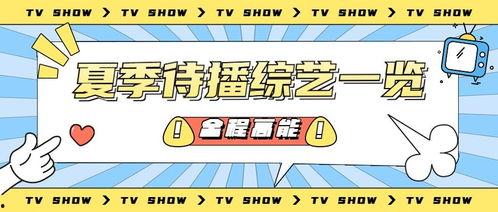 吃瓜娱乐营销号,揭秘娱乐圈幕后营销大揭秘