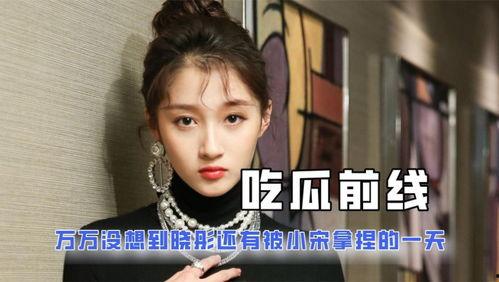 吃瓜娱乐圈 小说