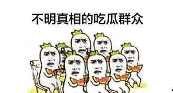 吃瓜群众娱乐大百科,揭秘娱乐圈幕后故事与热点事件